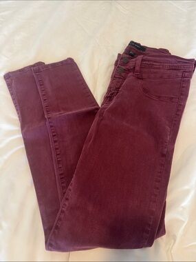 Flying Monkey Women's Skinny Jeans in Wine